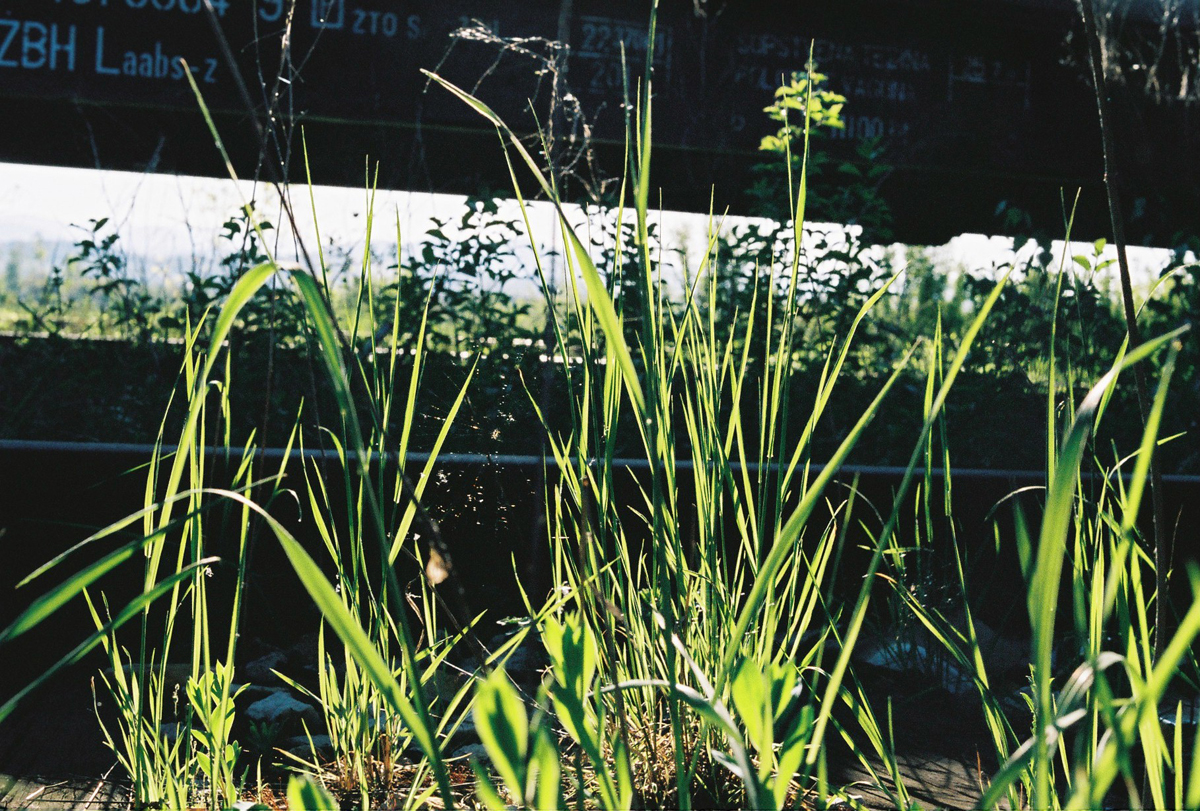 Rajlovac-in-Spring_10