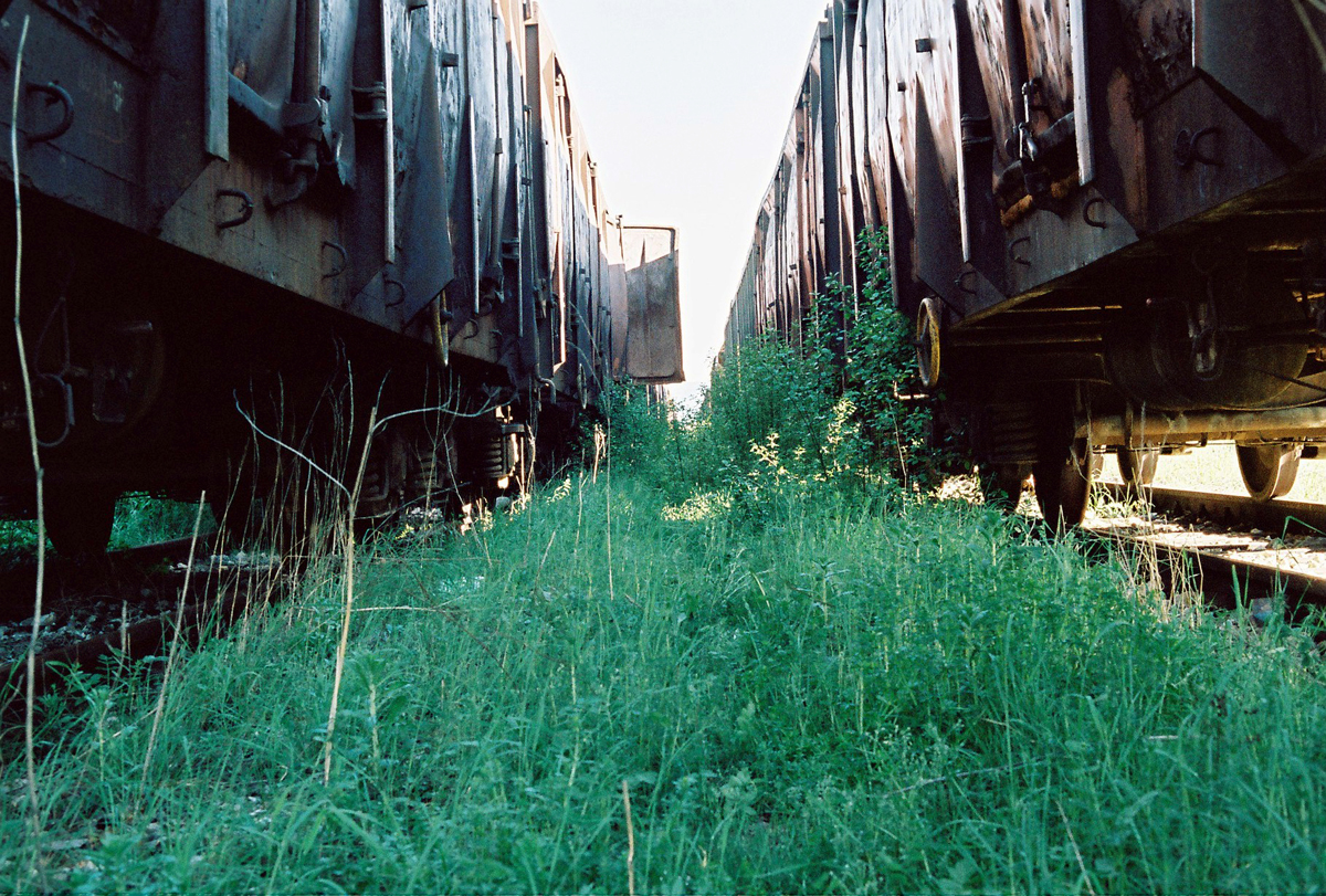 Rajlovac-in-Spring_14